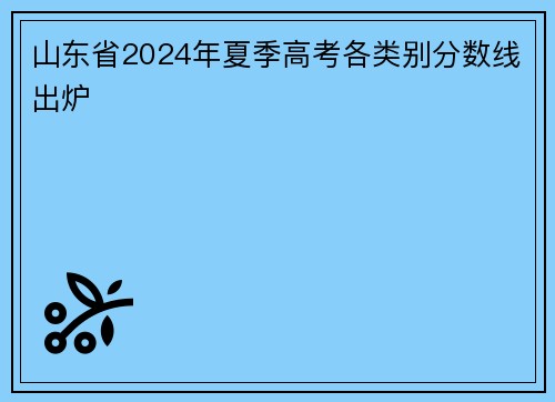 山东省2024年夏季高考各类别分数线出炉