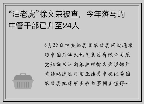 “油老虎”徐文荣被查，今年落马的中管干部已升至24人