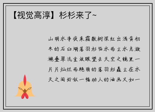 【视觉高淳】杉杉来了~