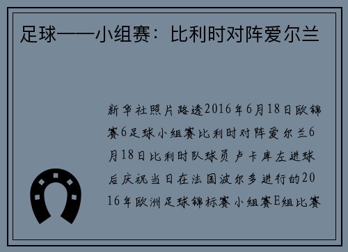 足球——小组赛：比利时对阵爱尔兰